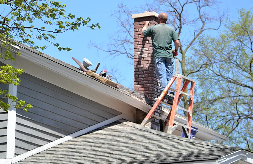 Chimney & Fireplace Inspections Services in Hanahan, SC